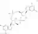 Fig. 06 - Cyclic di-nucleotides as modulators of STING