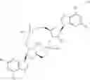 Fig. 07 - Cyclic di-nucleotides as modulators of STING