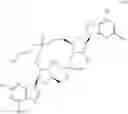 Fig. 08 - Cyclic di-nucleotides as modulators of STING