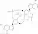 Fig. 33 - Cyclic di-nucleotides as modulators of STING
