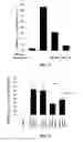 Fig. 02 - Anti-cancer peptide and use thereof