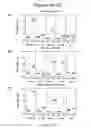 Fig. 08 - Stabilized human immunodeficiency virus (HIV) envelope (ENV) trimer vaccines and methods of using same