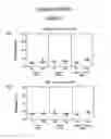Fig. 09 - Stabilized human immunodeficiency virus (HIV) envelope (ENV) trimer vaccines and methods of using same