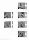 Fig. 33 - Genetic reprogramming of bacterial biofilms