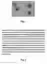Fig. 02 - Antimicrobial peptides, their variants and uses