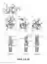 Fig. 02 - Chimeric fibroblast growth factor 19 proteins and methods of use