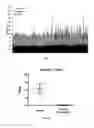 Fig. 02 - IL-11 ANTIBODIES