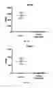 Fig. 03 - IL-11 ANTIBODIES
