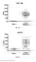Fig. 04 - IL-11 ANTIBODIES