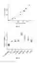 Fig. 08 - IL-11 ANTIBODIES