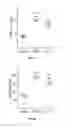 Fig. 13 - IL-11 ANTIBODIES