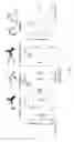Fig. 22 - IL-11 ANTIBODIES