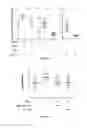 Fig. 25 - IL-11 ANTIBODIES