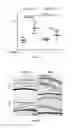 Fig. 90 - IL-11 ANTIBODIES
