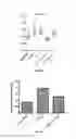 Fig. 93 - IL-11 ANTIBODIES