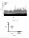 Fig. 02 - IL-11RA ANTIBODIES