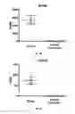 Fig. 03 - IL-11RA ANTIBODIES