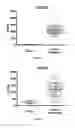 Fig. 04 - IL-11RA ANTIBODIES