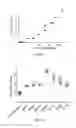 Fig. 08 - IL-11RA ANTIBODIES