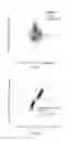Fig. 30 - IL-11RA ANTIBODIES