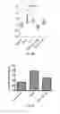 Fig. 53 - IL-11RA ANTIBODIES