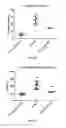 Fig. 58 - IL-11RA ANTIBODIES