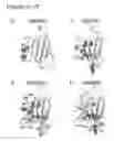 Fig. 18 - Anti-TIGIT antibodies and methods of use