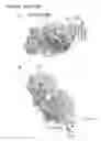 Fig. 22 - Anti-TIGIT antibodies and methods of use