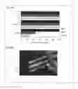 Fig. 09 - METHOD FOR SUPPRESSING BLOOD COAGULATION REACTION FOR WHICH LOX-1 IS RESPONSIBLE