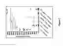 Fig. 05 - Human antibodies to PD-L1