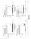 Fig. 13 - Anti-CD40 antibodies