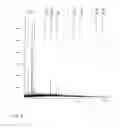 Fig. 08 - COMPOSITIONS OF PARTIALLY DEACETYLATED CHITIN DERIVATIVES