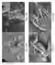 Fig. 07 - Synthetically modified thermoplastic polymer composites having cellulose nanomaterials