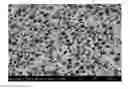 Fig. 01 - Polycarbonate resin composition and method for producing same