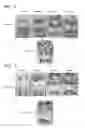 Fig. 05 - Antifouling composition