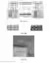 Fig. 53 - Sanitation systems and components thereof having a slippery surface