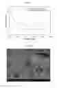 Fig. 09 - Methods for preparation of concentrated graphene ink compositions and related composite materials