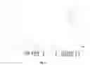 Fig. 02 - Hydrocarbon resin, method for preparing hydrocarbon resin, and adhesive composition