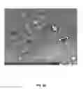 Fig. 06 - Abrasive particles with vitrified bond and filler