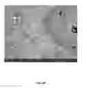 Fig. 08 - Abrasive particles with vitrified bond and filler