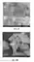 Fig. 33 - Abrasive particles with vitrified bond and filler
