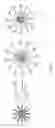 Fig. 04 - Ligands for semiconductor nanocrystals