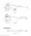 Fig. 07 - Bioreactor system and method