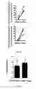 Fig. 03 - Methods for obtaining regulatory T cells and uses thereof