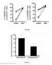 Fig. 04 - Methods for obtaining regulatory T cells and uses thereof