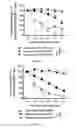 Fig. 05 - Methods for obtaining regulatory T cells and uses thereof