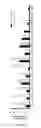 Fig. 07 - Methods for obtaining regulatory T cells and uses thereof