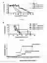Fig. 08 - Methods for obtaining regulatory T cells and uses thereof