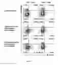 Fig. 10 - Methods for obtaining regulatory T cells and uses thereof