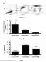 Fig. 11 - Methods for obtaining regulatory T cells and uses thereof